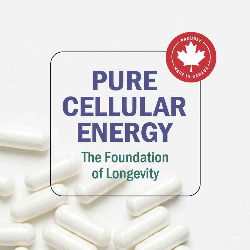 NMN Supplement 1200mg | Extra Strength | NAD+ Precursor for Healthy Aging, Cellular Energy & Longevity Support | 99% Purity | NMN Supplement Canada Made, Third-Party Tested & Vegan | 60 Capsules 🍁 All In One Marketplace Canada