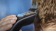 Philips Hair Clipper Series 7000, Washable Hair Clipper with DualCut Technology & 6 accessories, HC7650/14 🍁 All In One Marketplace Canada