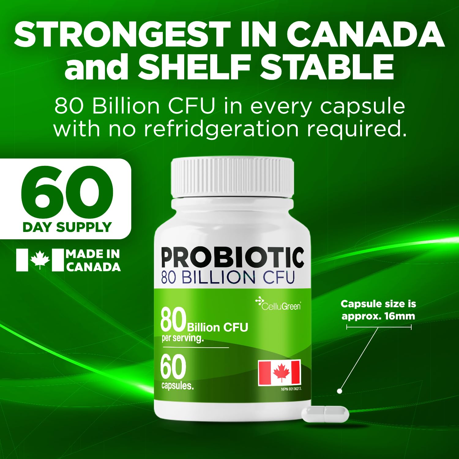 CelluGreen Probiotics 80 Billion CFU for Men & Women – 15 Strains – Digestive & Gut Health Support – Bloating & Gas Relief – Shelf Stable, Vegan, Non-GMO – 60 Capsules 🍁 All In One Marketplace Canada