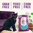 Stella & Chewy’s Raw Coated Premium Kibble Cat Food – Grain Free, Protein Rich Meals – Cage-Free Chicken Recipe – 1.13 kilograms 🍁 All In One Marketplace Canada