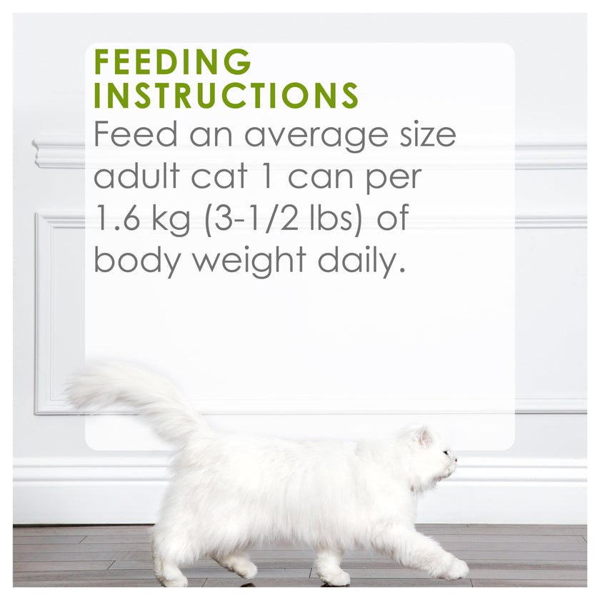 Fancy Feast Wet Cat Food, Pate Turkey & Giblets Feast - 85 g Can (24 Pack) 🍁 All In One Marketplace Canada