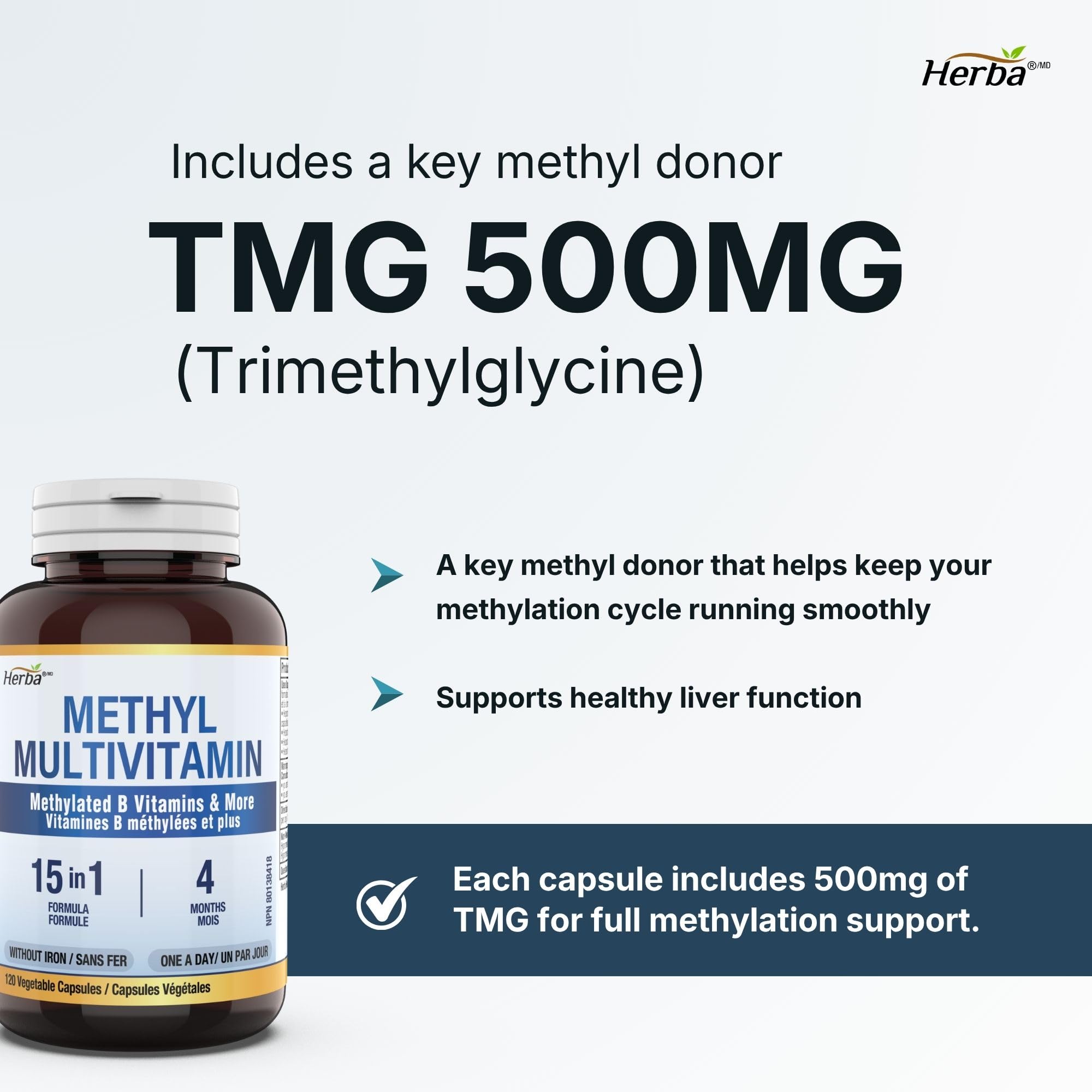 Herba Methylated Multivitamin with 500mg TMG & Methylated B Complex - 120 Capsules | 15 in 1 Formula | B Complex Vitamins for Women & Men including Methyl Folate Supplement | Vegan | Made in Canada 🍁 All In One Marketplace Canada