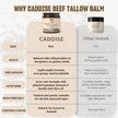 CADDISE Whipped Beef Tallow for Skin – 100% Grass-Fed Handmade Cream Moisturizer for Face & Body, Natural with Honey, Shea Butter, Jojoba Oil, Non-Greasy, Nourishing for Men, Women, Kids, 4 Oz 🍁 All In One Marketplace Canada