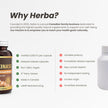 Herba Nattokinase Supplement 2000 FU – 100mg, 120 Delayed Release Capsules | Helps to Support Heart Health | Made in Canada 🍁 All In One Marketplace Canada