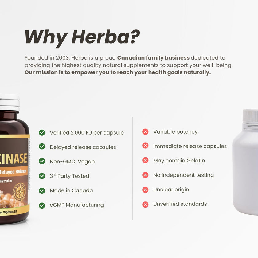 Herba Nattokinase Supplement 2000 FU – 100mg, 120 Delayed Release Capsules | Helps to Support Heart Health | Made in Canada 🍁 All In One Marketplace Canada