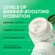 innisfree Jumbo Green Tea Seed Hyaluronic Acid Cream With Barrier Boosting Complex and Ceramide, Korean Hydrating Face Moisturizer for Dry Skin 🍁 All In One Marketplace Canada