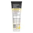John Frieda Go Blonder Duo for Blondes, Lightening Shampoo and Conditioner, Gradually lightens and brightens natural, colour-treated and highlighted blonde hair, peroxide and ammonia free. Packaging May Vary 🍁 All In One Marketplace Canada