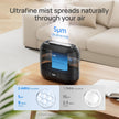 DREO Smart Humidifiers for Bedroom, Top Fill 4L Supersized Cool Mist Humidifier with Nightlight, 36H Runtime, Touch/APP/Voice Control, Quiet Ultrasonic Humidifiers for Large Room, Baby, Plants 🍁 All In One Marketplace Canada
