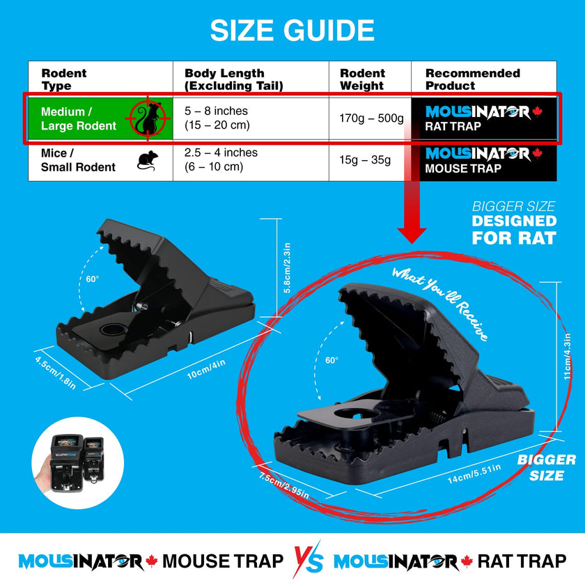 MOUSINATOR Rat Trap | 6-Pack | Large Rat Snap Traps for Indoor and Outdoor Use | Easy to Set | Safe and Reusable Design | Easy to Clean | Effective Powerful Large Mouse Trap that Works Instantly 🍁 All In One Marketplace Canada