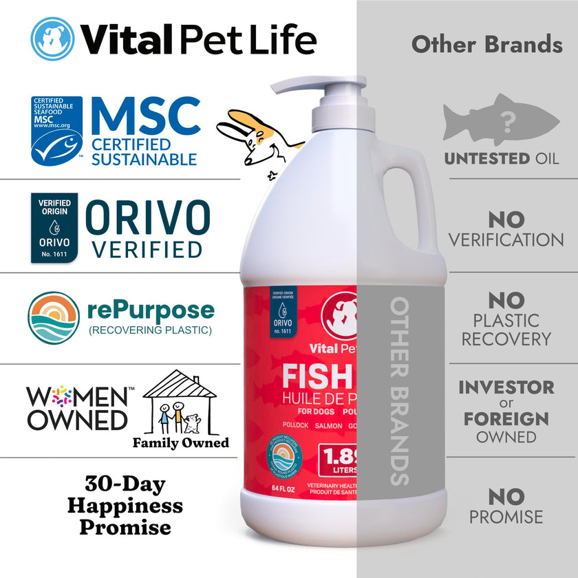 Fish Oil for Dogs 1.89 L - Healthy Skin & Coat, Salmon, Pollock, All Natural Supplement for Pets, Itching Scratching Allergy & Inflammation Defense, Omega 3 EPA DHA, Brain & Heart Health 🍁 All In One Marketplace Canada
