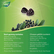Nature's Way Sambucus Immune Cold and Flu Care Elderberry Gummies with Vitamin C and Zinc - Immune Support for Kids 4+, 60 Gummies 🍁 All In One Marketplace Canada