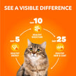 IAMS Perfect Portions Healthy Adult Wet Cat Food Cuts in Gravy - Chicken and Indoor Chicken 12CT Multipack, 75g 🍁 All In One Marketplace Canada