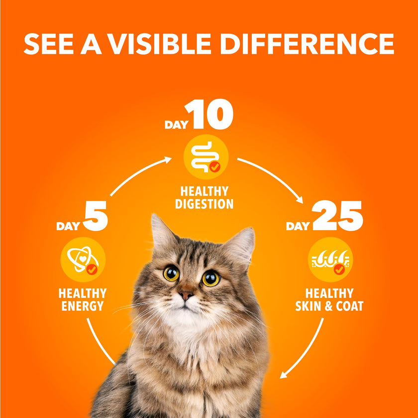 IAMS Perfect Portions Healthy Adult Wet Cat Food Cuts in Gravy - Chicken and Indoor Chicken 12CT Multipack, 75g 🍁 All In One Marketplace Canada