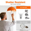 Sylvania ECO LED A19 Light Bulb, 60W Equivalent, Efficient 9W, 7 Year, 750 Lumens, Non-Dimmable, Frosted, 5000K, Daylight - 8 Count (Pack of 1) (40883) 🍁 All In One Marketplace Canada