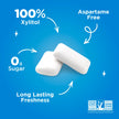 PUR Gum | Aspartame Free Chewing Gum | 100% Xylitol | Natural Peppermint Flavoured Gum, 55 Pieces (Pack of 6) 🍁 All In One Marketplace Canada