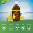 Nature's Way NutraSea Omega 3 Fish Oil Liquid Supplement – Zesty Lemon Flavour, Non-GMO – Heart & Brain Support – EPA & DHA, 500 mL 🍁 All In One Marketplace Canada