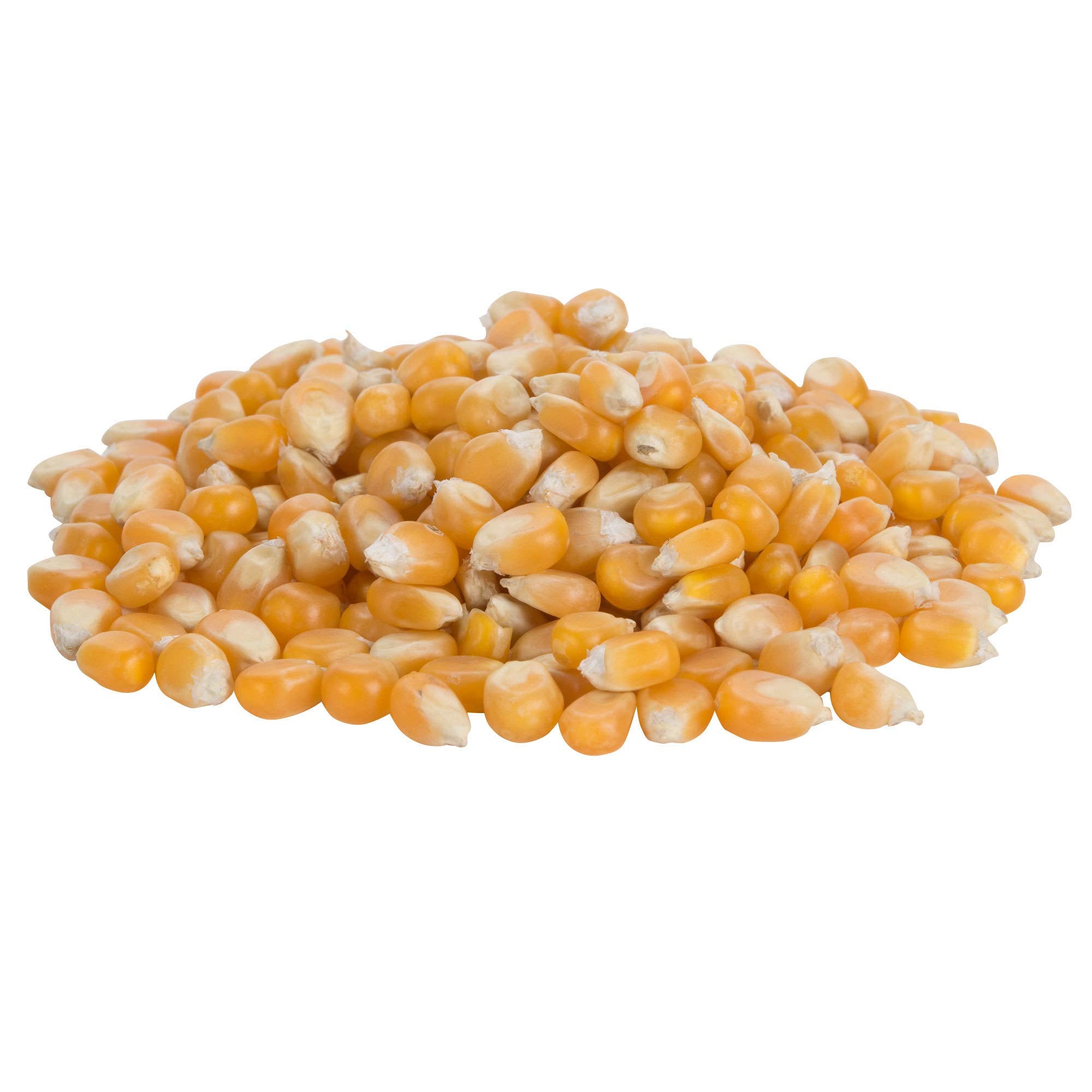Bulk Mushroom Premium Popcorn Kernels (6lbs, 12lbs, 18lbs, 24lbs)