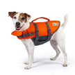 Outward Hound Granby Splash Dog Life Jacket with Handle, Reflective Floating Vest for Swimming & Boating, Maximum Buoyancy, All Skill Levels, Small Dogs & Puppies (16–20