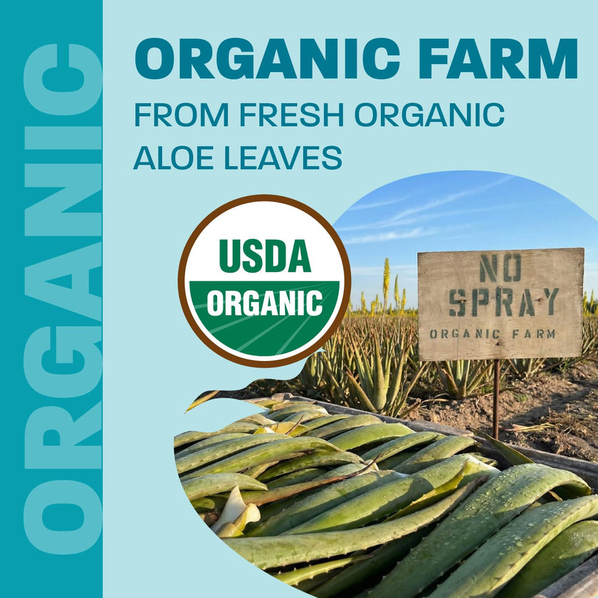 Aloe Vera Drinkable Gel, Orange, Heartburn & Acid Reflux, 1,5 L 🍁 All In One Marketplace Canada