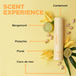 Design.Me BOUNCE.ME Curling Gel Spray | Frizz-Free Curl Defining Gel - Refresh Curls, Waves, Coils | Non-Crunchy, Non-Sticky Formula - Climate Control Styling, 7.77Oz 🍁 All In One Marketplace Canada