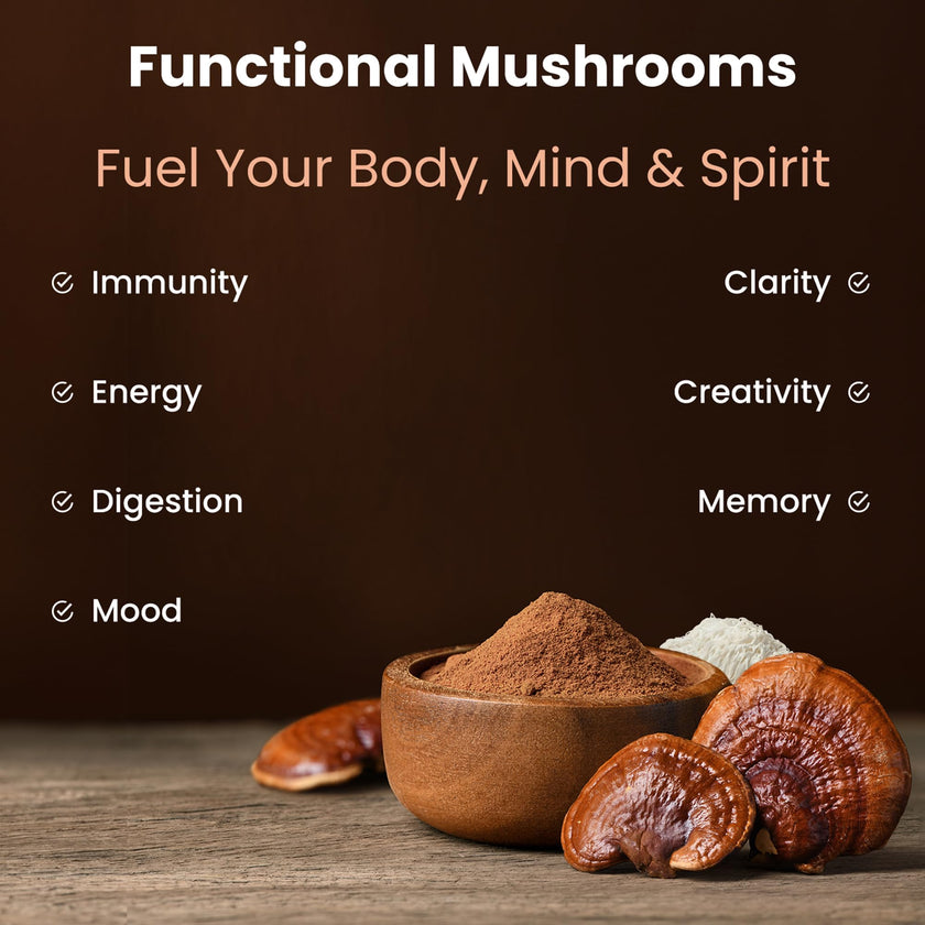 Organic Mushroom Powder - 10-in-1 Complex - Mushroom Supplement Powder Blend for Memory, Focus & Immune Support - Mushroom Blend For Coffee, Water, Smoothies - 8oz 🍁 All In One Marketplace Canada