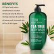 Botanic Hearth Tea Tree Body Wash | Shower Gel - 16 fl oz Helps Nail Conditions Athletes Foot Ringworms Jock Itch & Body Odor Soothes Itching & Promotes Healthy Skin and Feet Naturally Scented 🍁 All In One Marketplace Canada