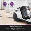 Eureka Bagless Canister Vacuum for Carpets and Hard Floors, Powerful Lightweight Vacuum Cleaner with Large Dust Cup Extension Tube 2-in-1 Crevice Tool Floor Nozzle, White, NEN121WH w/ 1100W High Power 🍁 All In One Marketplace Canada