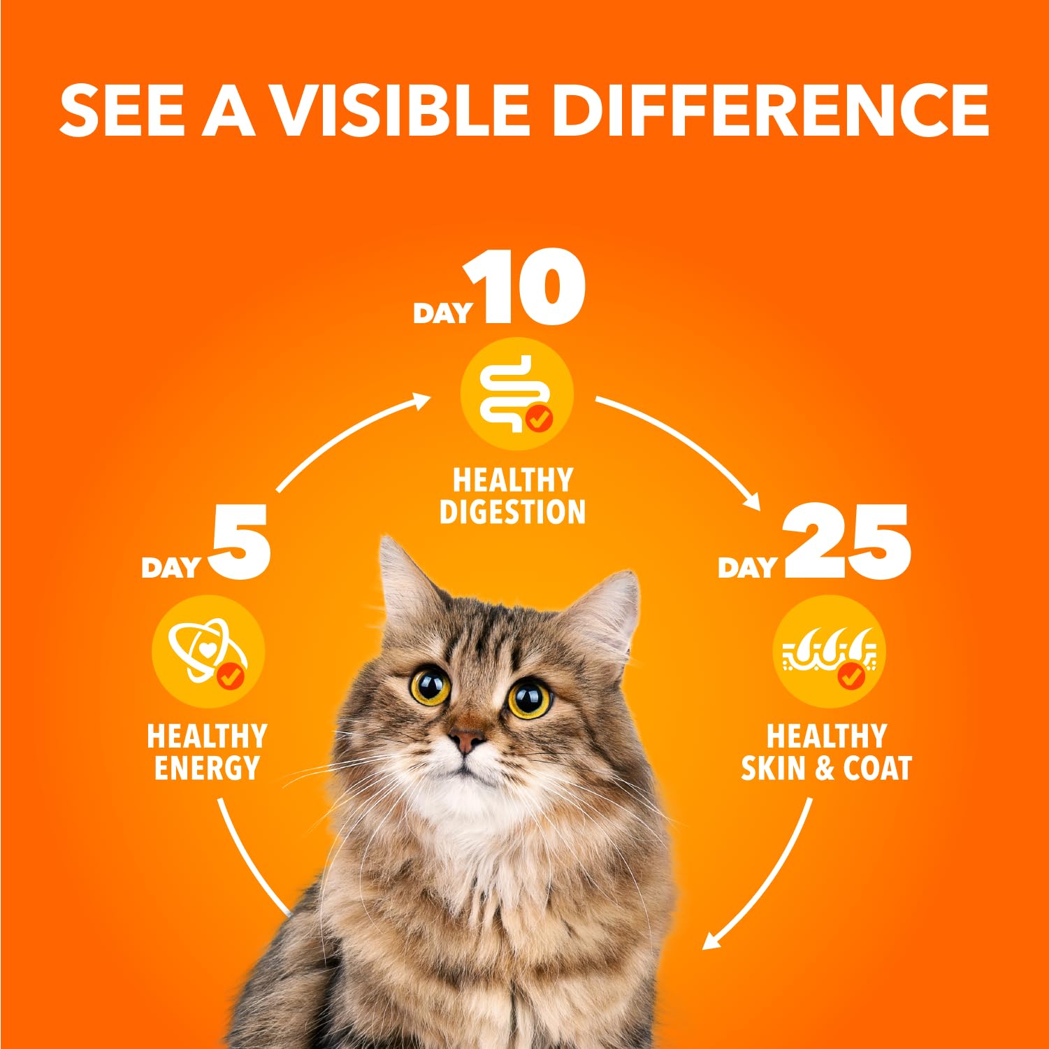 IAMS Perfect Portions Adult Wet Cat Food - Chicken and Tuna Paté Variety Pack, 75g (24 Pack) 🍁 All In One Marketplace Canada