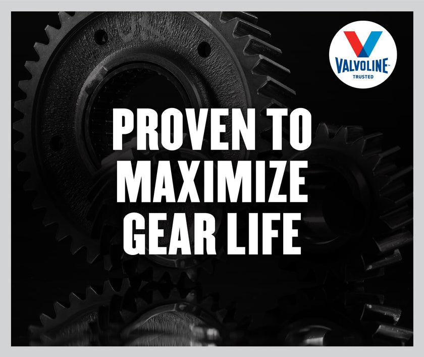 Valvoline Daily Protection 80W-90 Gear Oil 1 QT 🍁 All In One Marketplace Canada