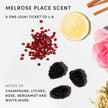 OUAI Fine to Medium Hair Treatment Mask- Deep Conditioning Hair Mask (8 oz) 🍁 All In One Marketplace Canada