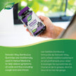 Nature's Way Sambucus Immune Support Gummies – Elderberry with Vitamin C & Zinc – Supports Immune Function and Relieves Cold & Flu Symptoms – Vegetarian, Gluten-Free for Adults & Kids 4+ – 60 Gummies 🍁 All In One Marketplace Canada