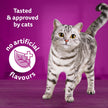 WHISKAS Salmon and Poultry Selections, Turkey, Chicken, and Savoury Salmon Dinner, Adult Wet Cat Food Paté in Natural Juices, 100g (24 Pack) 🍁 All In One Marketplace Canada