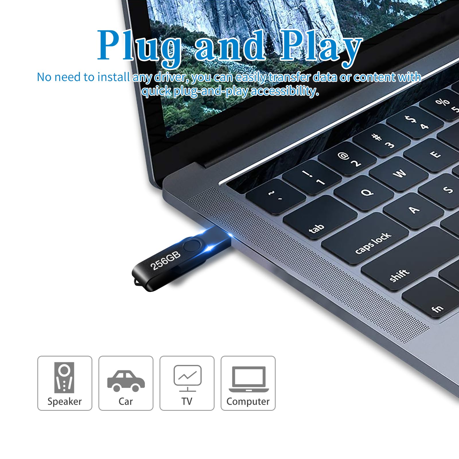 USB Flash Drive 256GB, Portable Thumb Drive: Memory Stick, Large Capacity USB Drive with Keychain, High-Speed USB 2.0 Data Storage Flash Drive for PC/Laptop 🍁 All In One Marketplace Canada