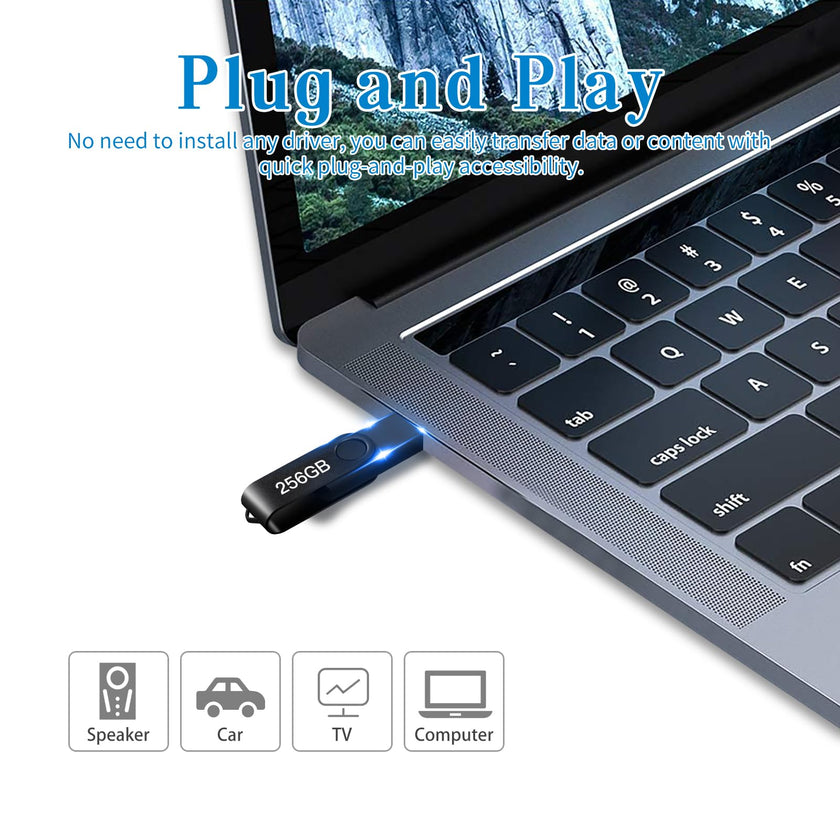 USB Flash Drive 256GB, Portable Thumb Drive: Memory Stick, Large Capacity USB Drive with Keychain, High-Speed USB 2.0 Data Storage Flash Drive for PC/Laptop 🍁 All In One Marketplace Canada