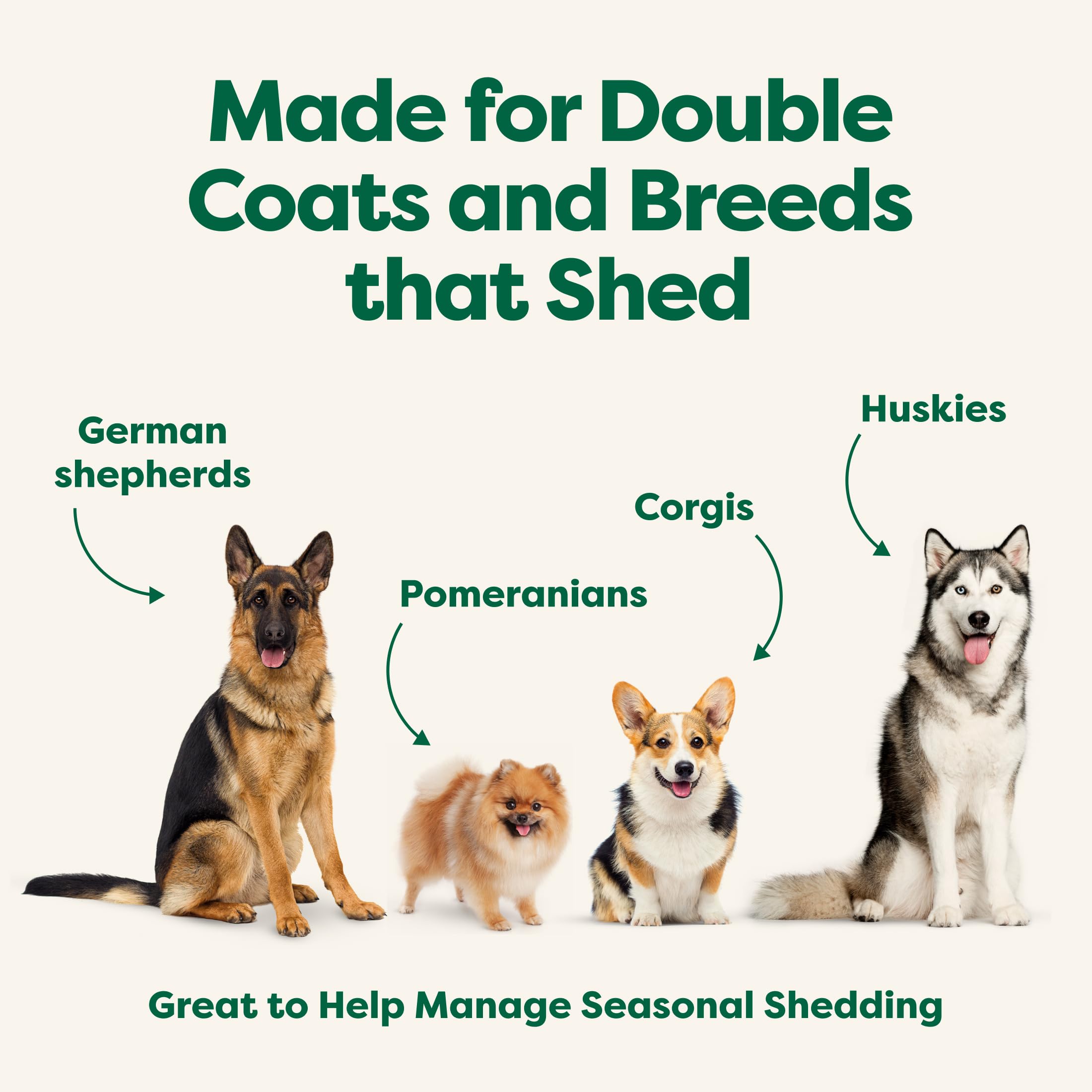 Earth Rated (A Canadian Company), 3-in-1 Deshedding Dog Shampoo and Conditioner, Deodorizing Oatmeal Shampoos for Dogs and Puppies, Great for Smelly Pets, White Tea and Basil Scent, 473 ml 🍁 All In One Marketplace Canada