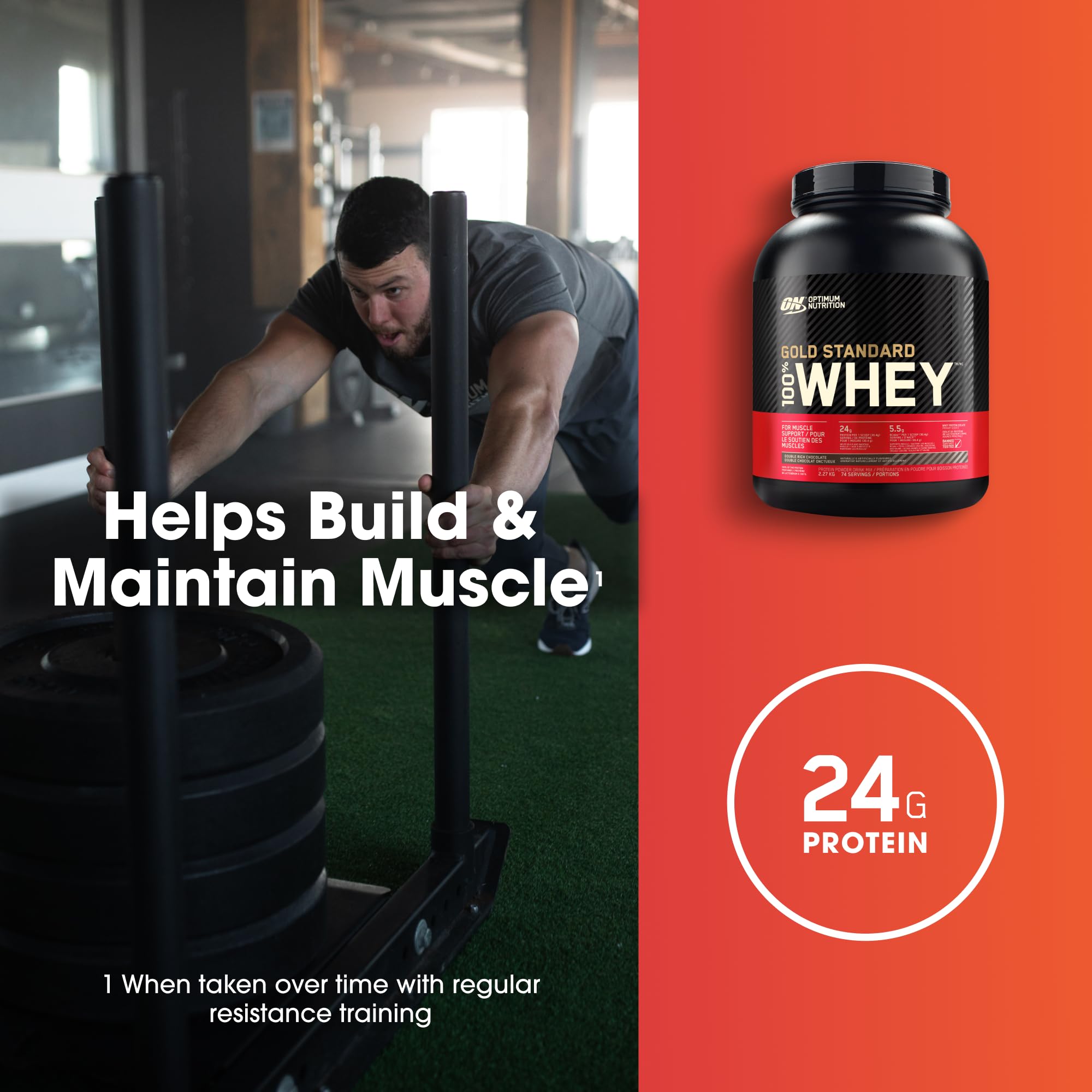 Optimum Nutrition Gold Standard 100% Whey Protein Powder, 2.270g - Double Rich Chocolate - 74 servings (packaging may vary) 🍁 All In One Marketplace Canada