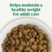 Nutro Wholesome Essentials Adult Dry Cat Food, Chicken Flavour, 1.36kg 🍁 All In One Marketplace Canada