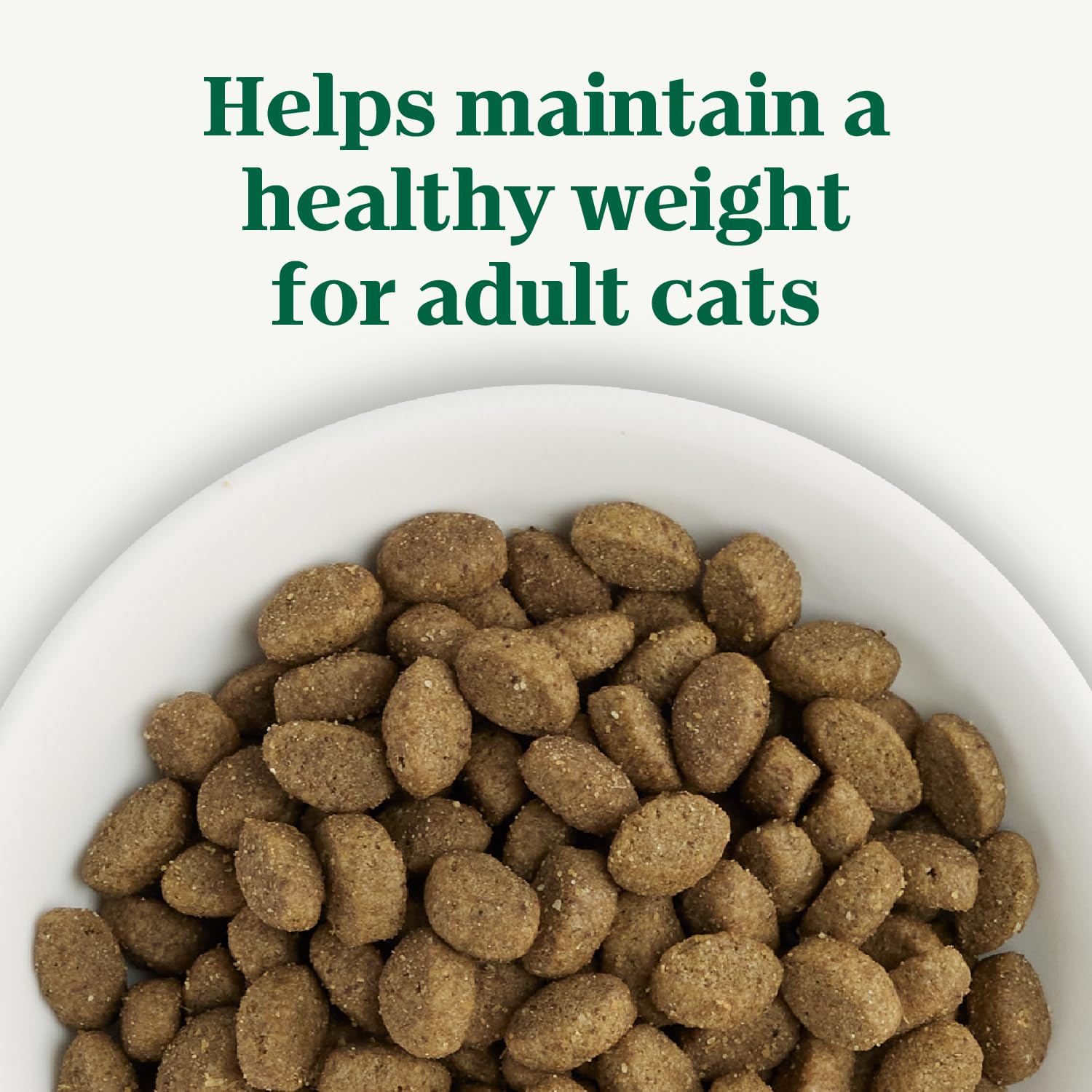Nutro Wholesome Essentials Adult Dry Cat Food, Chicken Flavour, 1.36kg 🍁 All In One Marketplace Canada