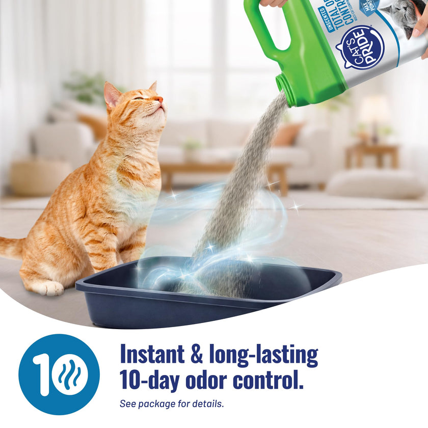 Cat's Pride Fresh and Light Premium Clumping Fragrance Free Scoopable Cat Litter Jug, 15-Pound 🍁 All In One Marketplace Canada