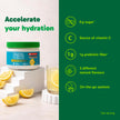 Organika Canadian-Made Electrolytes Powder with Vitamin C & Prebiotic Fibre - Sugar-Free Hydration Drink Mix - Classic Lemonade - 210 g - 60 servings 🍁 All In One Marketplace Canada