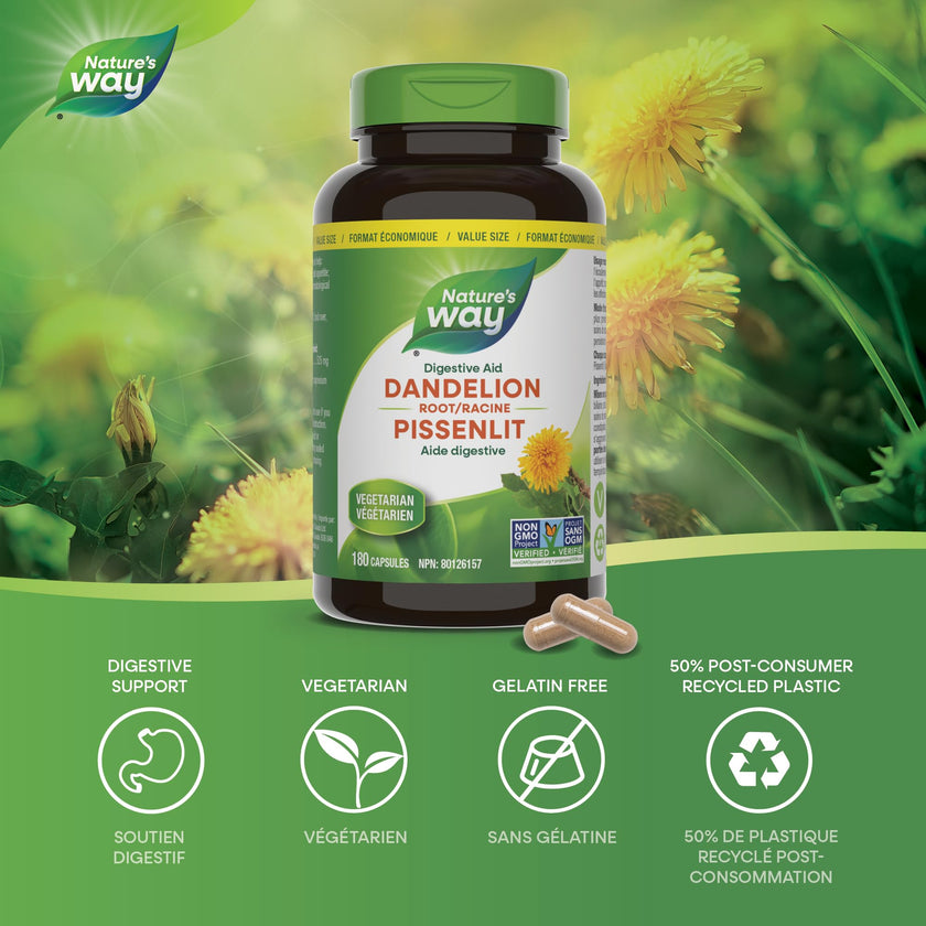 Nature's Way Dandelion Root - Digestion Supplement – Diuretic Laxative - Non-GMO Verified - 180 Vegetarian Capsules, Value Size 🍁 All In One Marketplace Canada