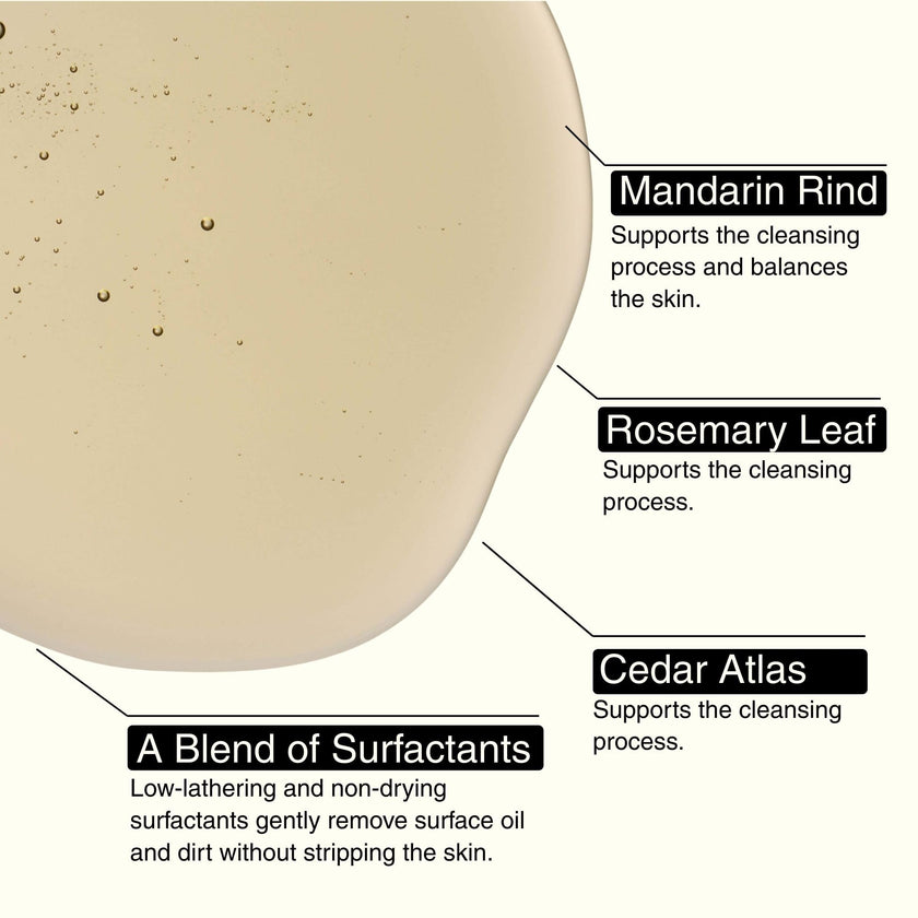 Aesop Resurrection Aromatique Hydrating Hand Wash | Gentle Non-Drying Hand Soap with Mandarin Rind, Rosemary, & Lavender | Moisturizing Kitchen & Bathroom Soap | 16.9 oz 🍁 All In One Marketplace Canada