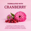 Womens Probiotic with Cranberry | 50 Billion CFU for Gut Health, Bloating Relief & Digestive Support | With Cranberry for Vaginal Health | Gut Health Supplements for Women | Made in Canada | 60 Ct. 🍁 All In One Marketplace Canada