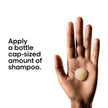 L'Oreal Professionnel Absolut Repair Shampoo, Repairing Shampoo for Dry & Damaged Hair, Restructures & Adds Shine, With Protein & Omega 9 🍁 All In One Marketplace Canada