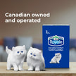 Royale Everyday Comfort 2 Ply Facial Tissue, 24 Tissue Boxes, 100 Tissues per Box 🍁 All In One Marketplace Canada