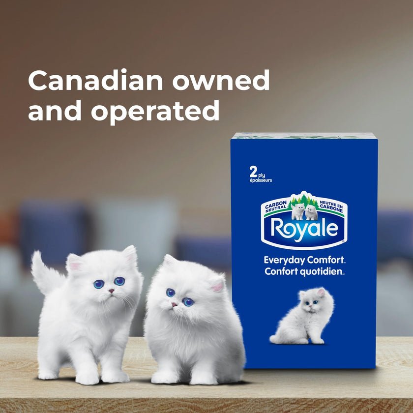 Royale Everyday Comfort 2 Ply Facial Tissue, 24 Tissue Boxes, 100 Tissues per Box 🍁 All In One Marketplace Canada