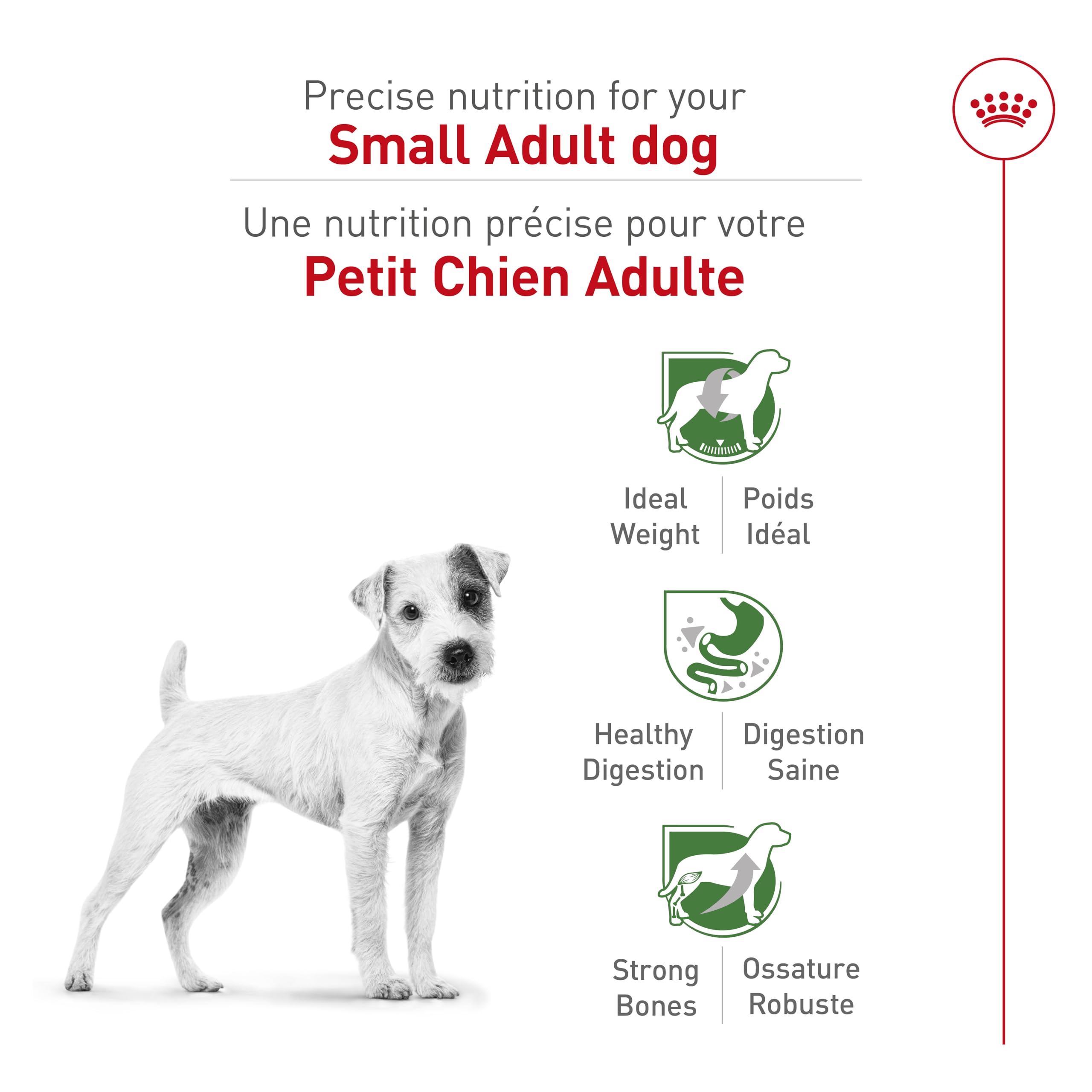 Royal Canin Size Health Nutrition Small Breed Dog Food Dry, Supports Healthy Weight, Digestive Health and Healthy Skin and Coat, 14 lb Bag 🍁 All In One Marketplace Canada