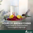 Perky-Pet 8-Ounce Window Mount Hummingbird Feeder 217 🍁 All In One Marketplace Canada