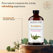 Majestic Pure Eucalyptus Essential Oil - Huge 118 ml - 100% Pure and Natural Oil for Soap Making Scent- Premium Grade with Glass Dropper 🍁 All In One Marketplace Canada