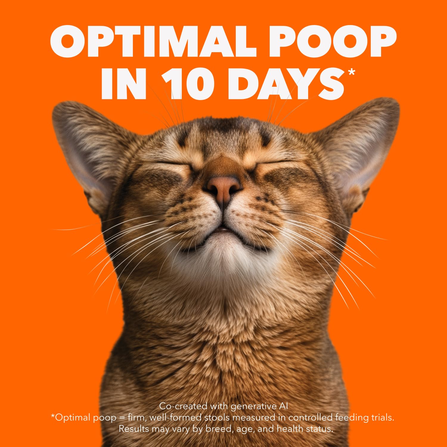 IAMS Proactive Health Healthy Adult Dry Cat Food – Chicken – 7.26KG (16LB) Bag 🍁 All In One Marketplace Canada